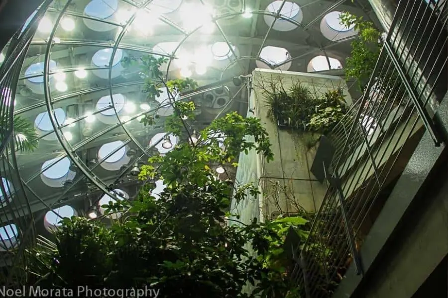 Academy of Sciences SFO USA museums Faraway Notes