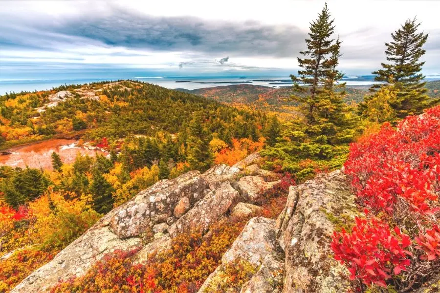 Fall colors at acadia national park maine cadillac mountain