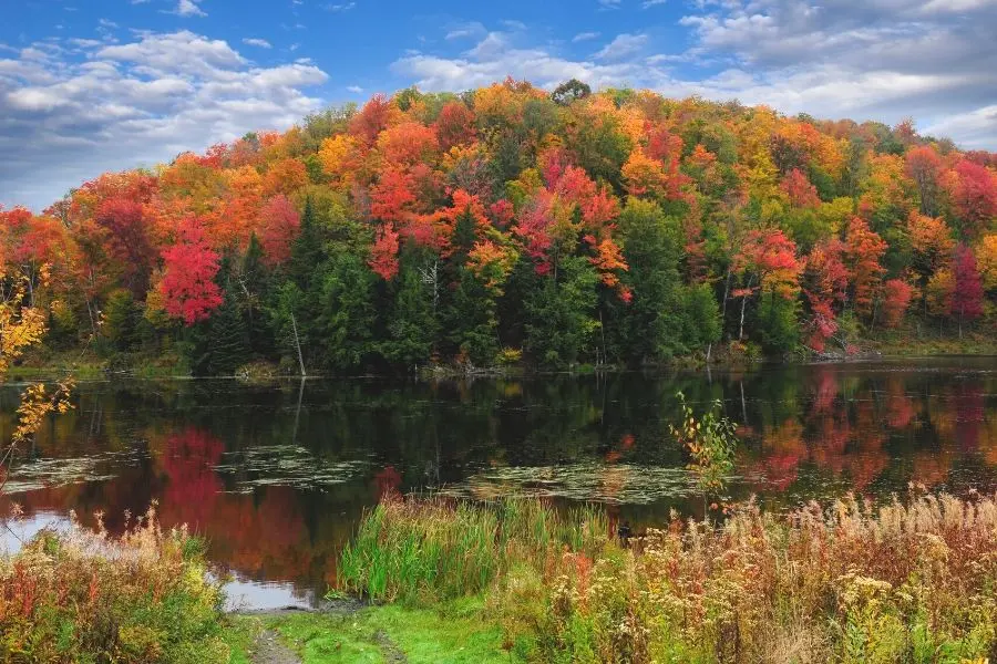 Acadia National park fall colors