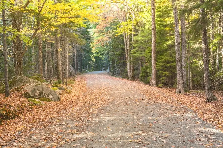 Carriage roads Acadia national park maine