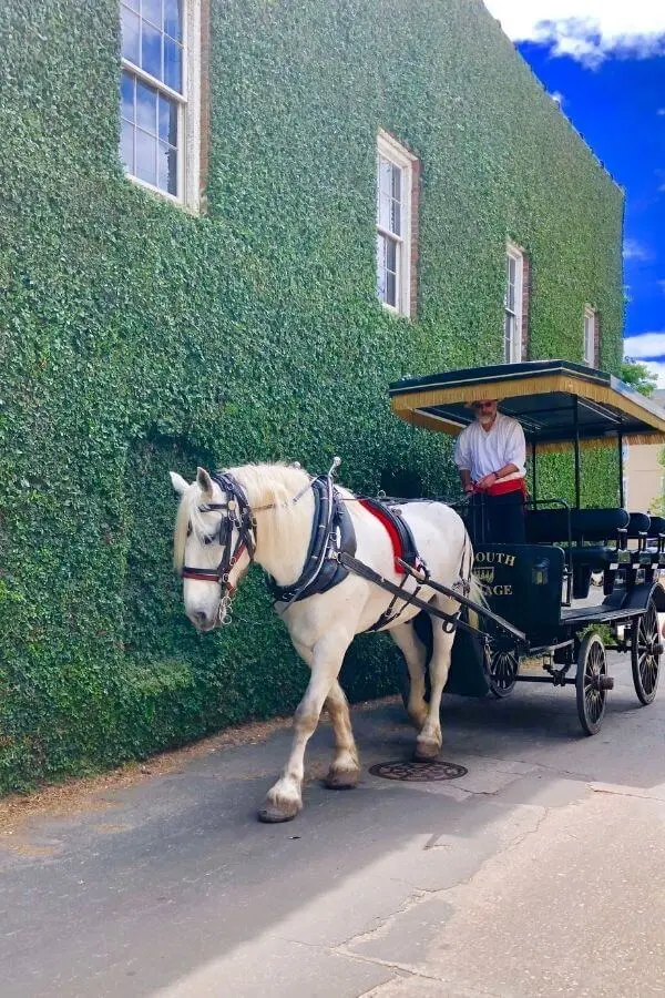Horse Carriage ride at Charleston USA Spring destination Faraway Notes