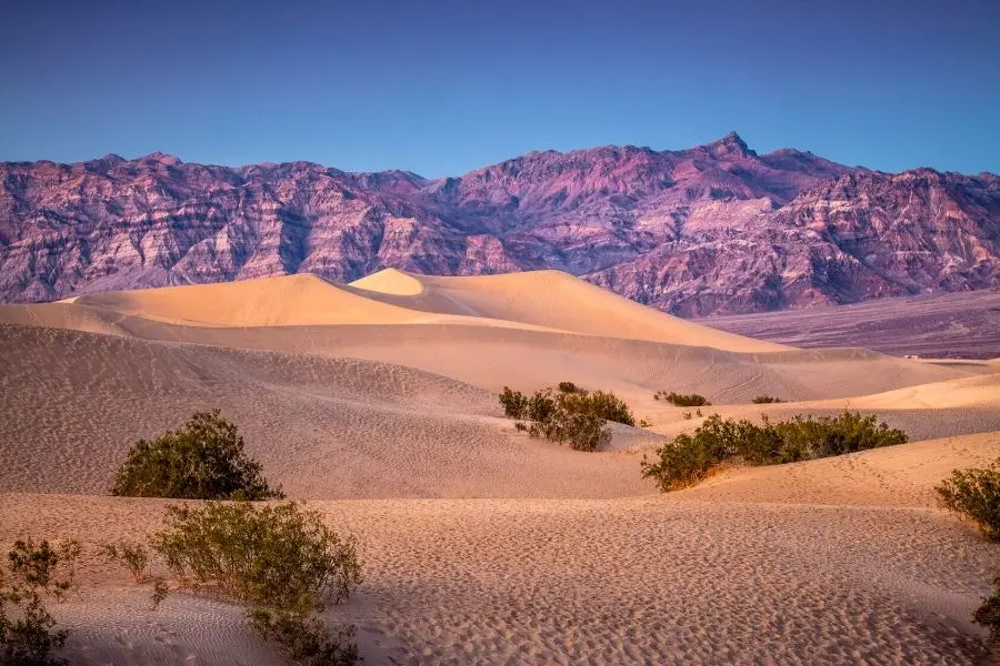 Death Valley mesquite sand dunes