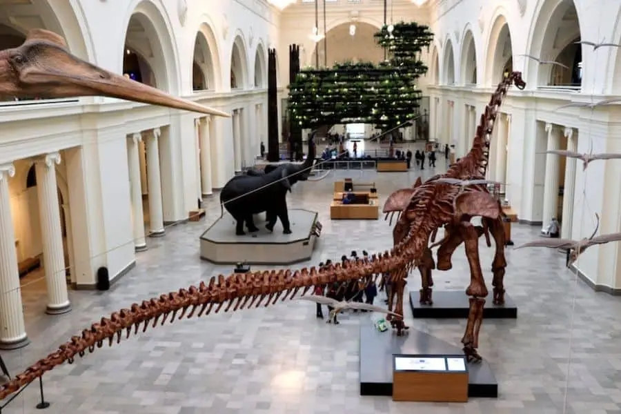 Field Museum Chicago USA Faraway Notes