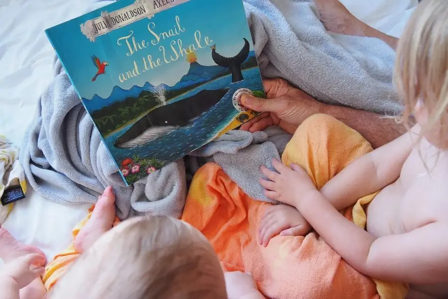 Kids books The snail and the whale
