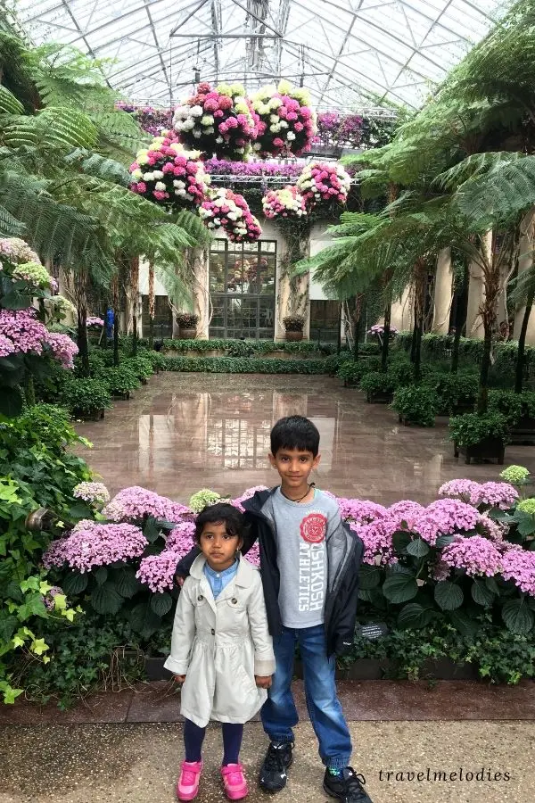 Longwood gardens flower decorations