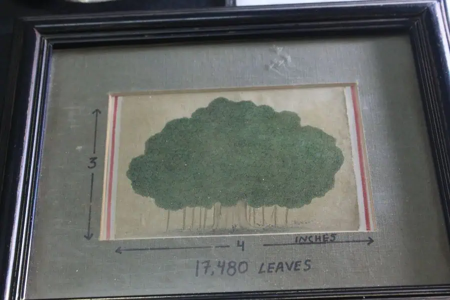 Miniature painting must see in Bikaner India Faraway Notes