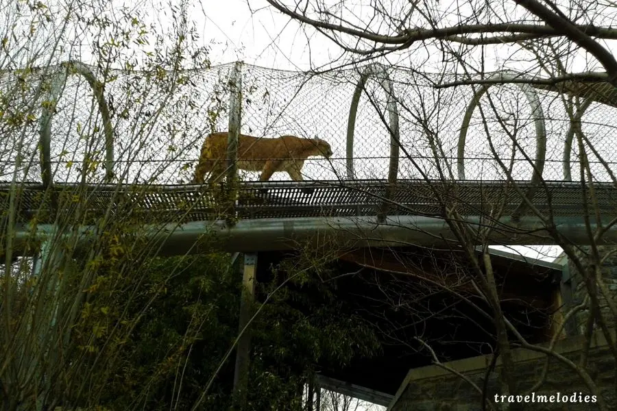 Philadelphia Zoo360 trail