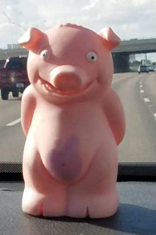 Road trip mascot