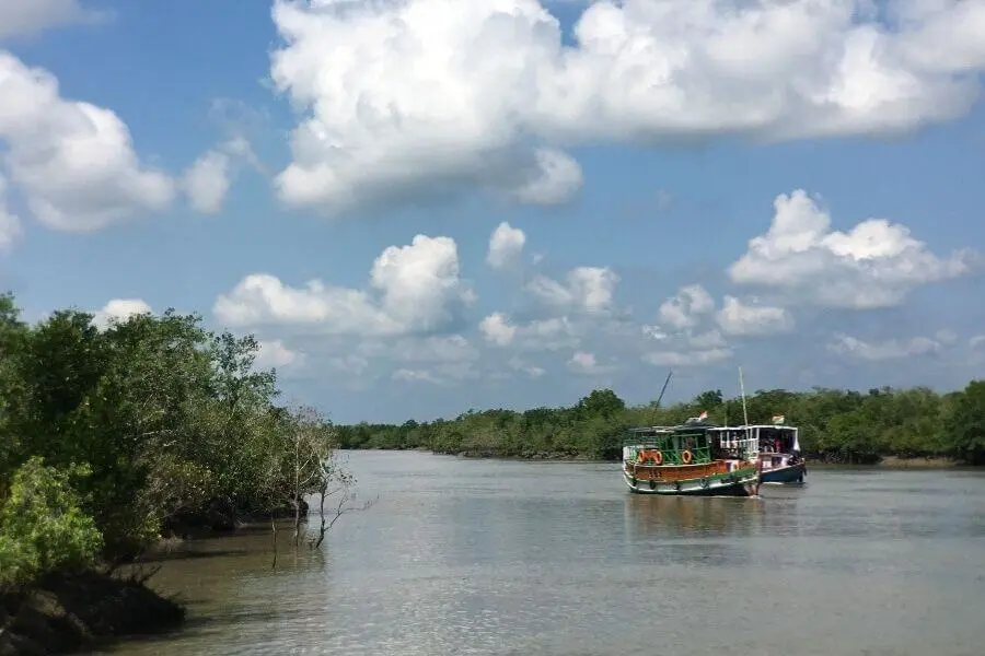 Sundarbans National Park India - largest mangrove in world - Faraway Notes