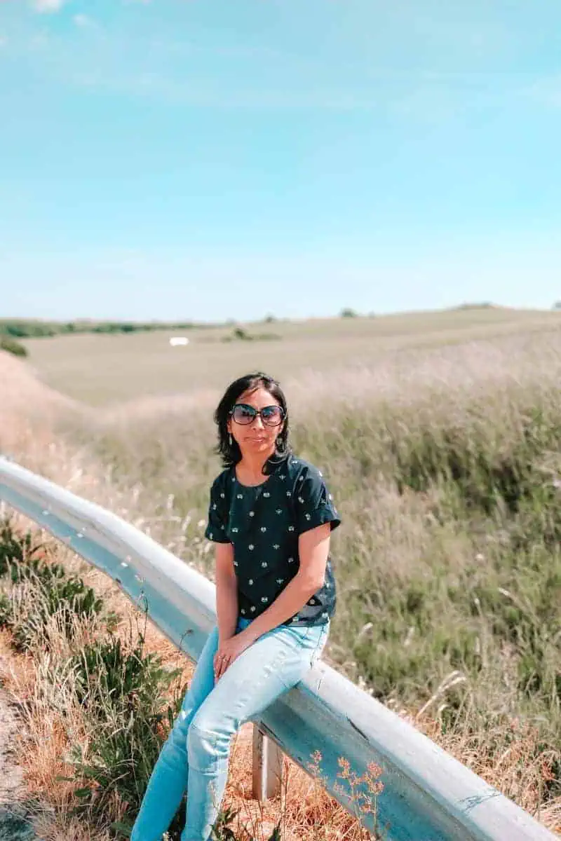Faraway Notes blogger anjali enjoying a road trip in sweden