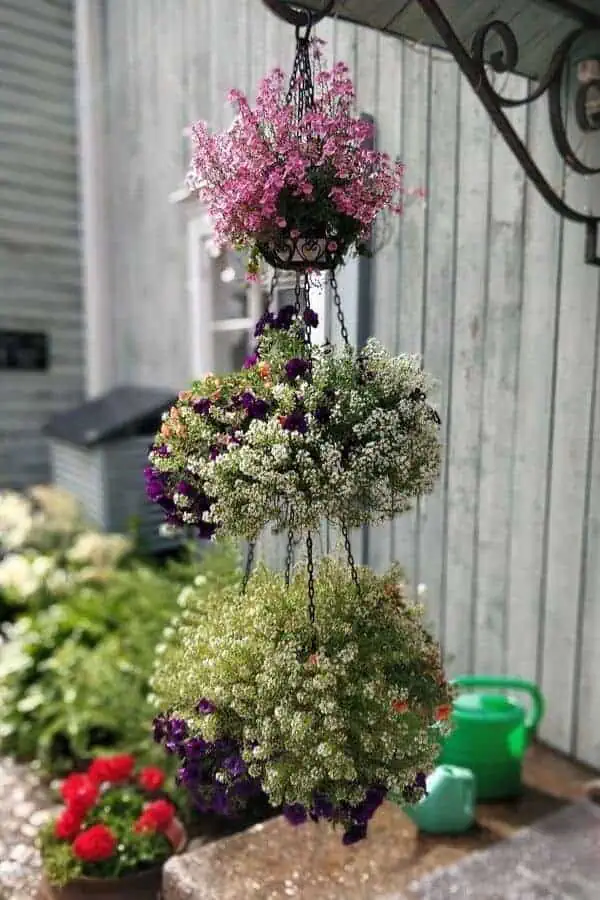 beautiful flowers arrangement outside porvoo doll and toy museum