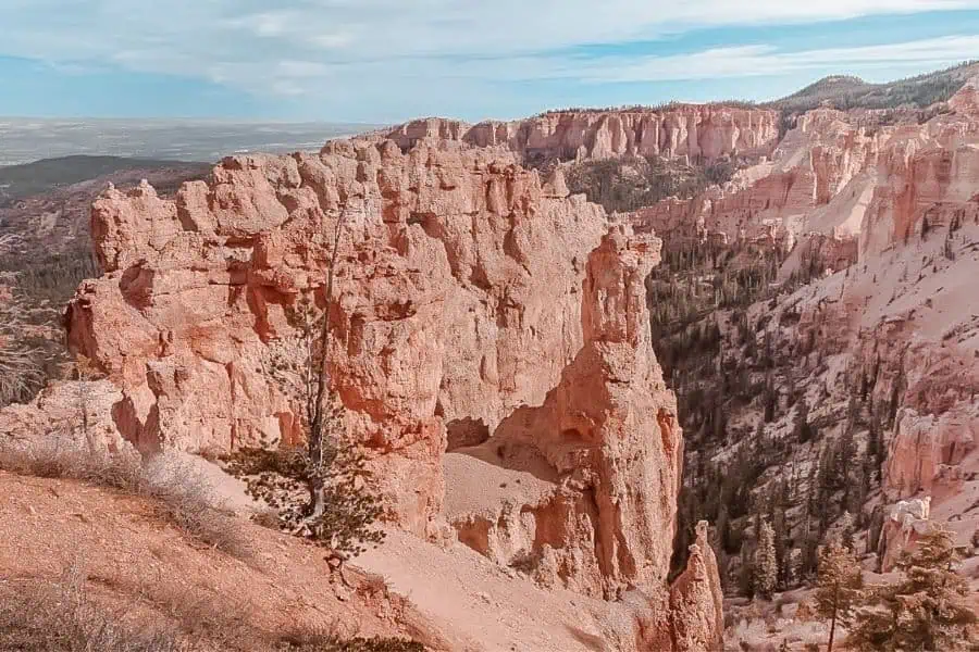 black birch canyon overlook bryce canyon national park