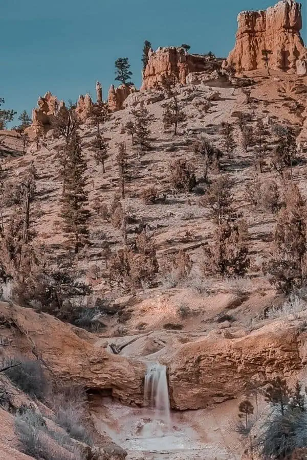 bryce canyon mossy cave trail