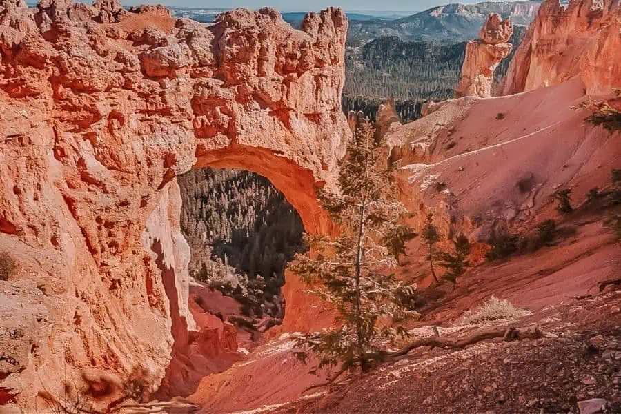 bryce canyon natural bridge