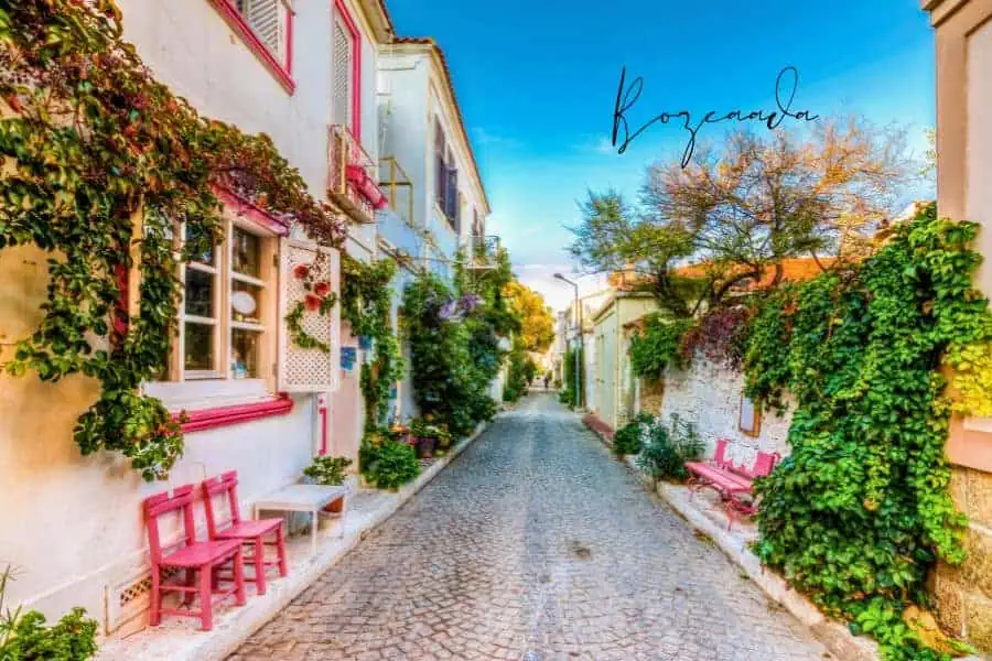 charming cobblestone street in bozcaada with colorful houses and lush greenery