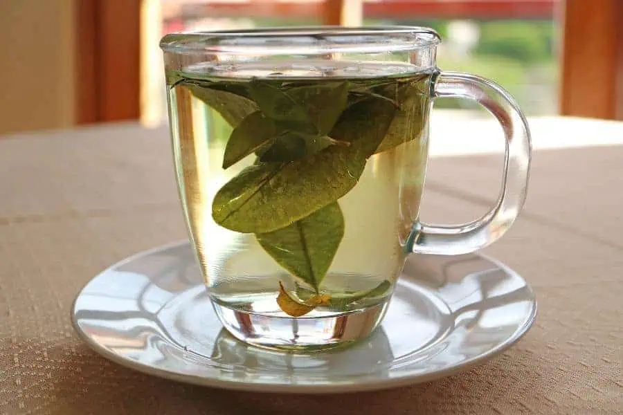 coca leaf tea peru tea culture