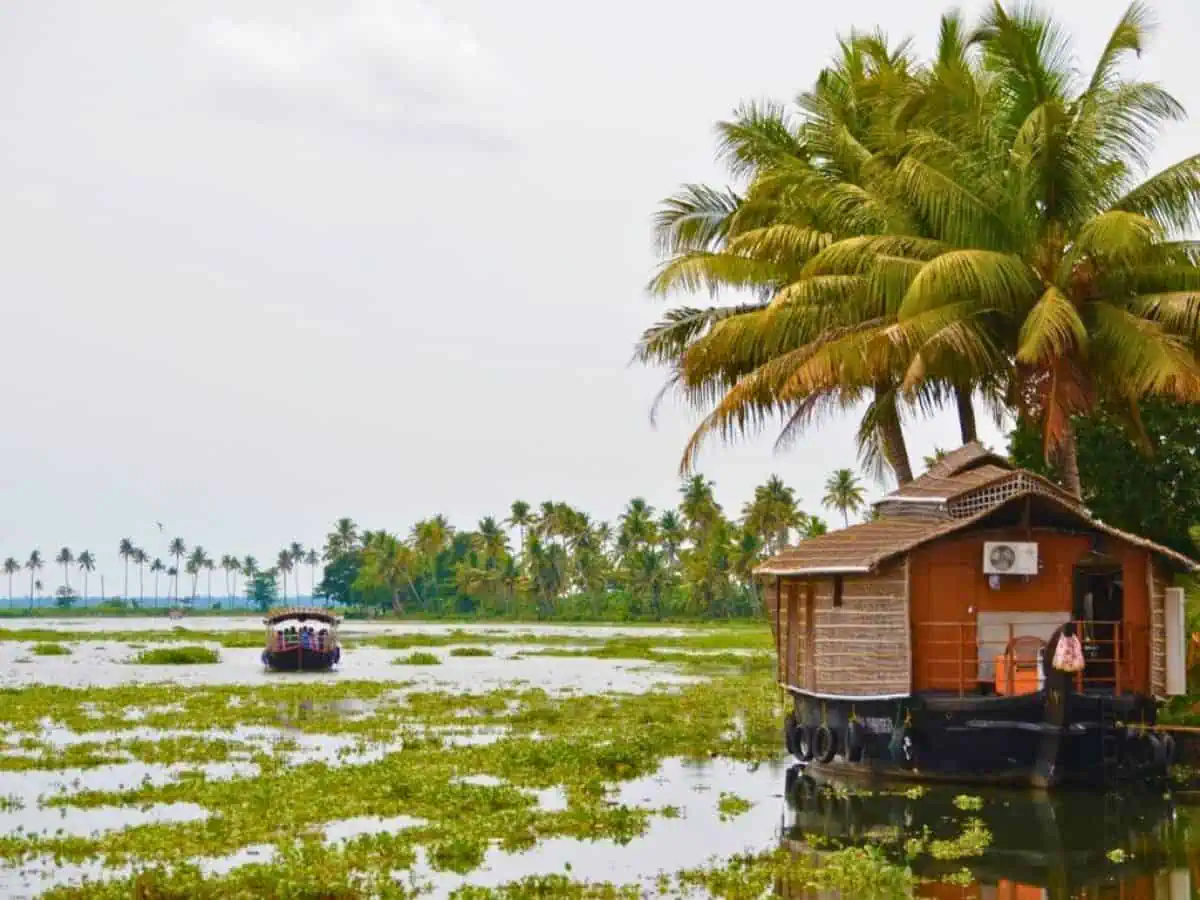 cochin backwaters best places to visit in kochi with family kids kerala