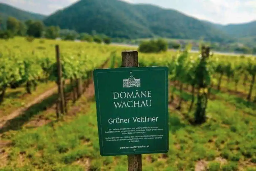 domäne wachau wineries and vineyards in wachau austria