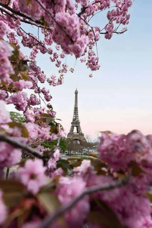 eiffel tower paris france spring europe