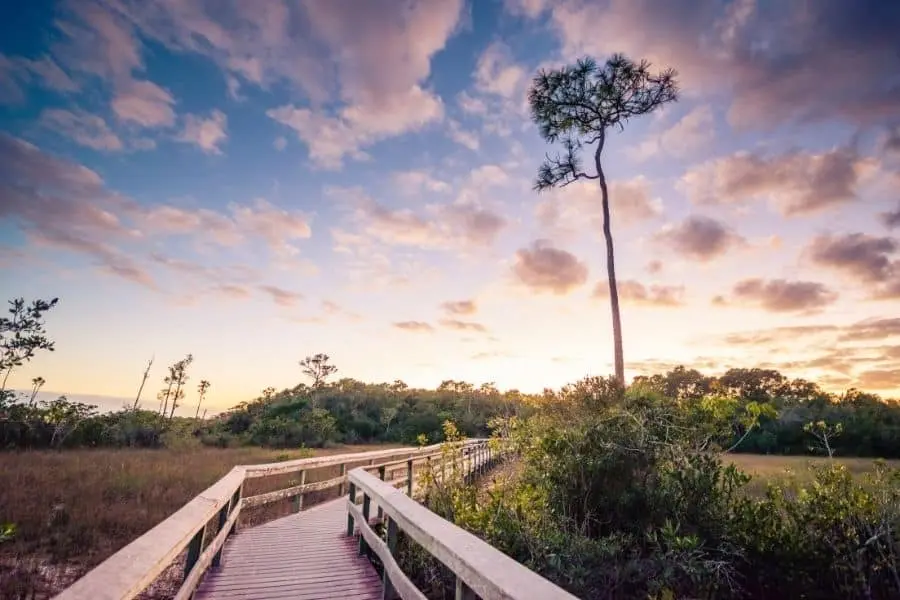 everglades national park florida Mahogany Hammock Trail
