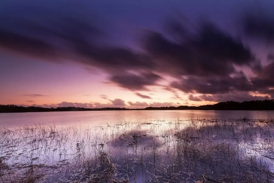 everglades national park florida nine mile pond