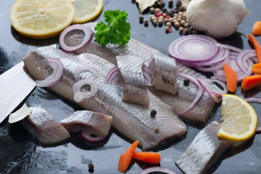 hollandse nieuwe haring pickled herring netherlands dutch
