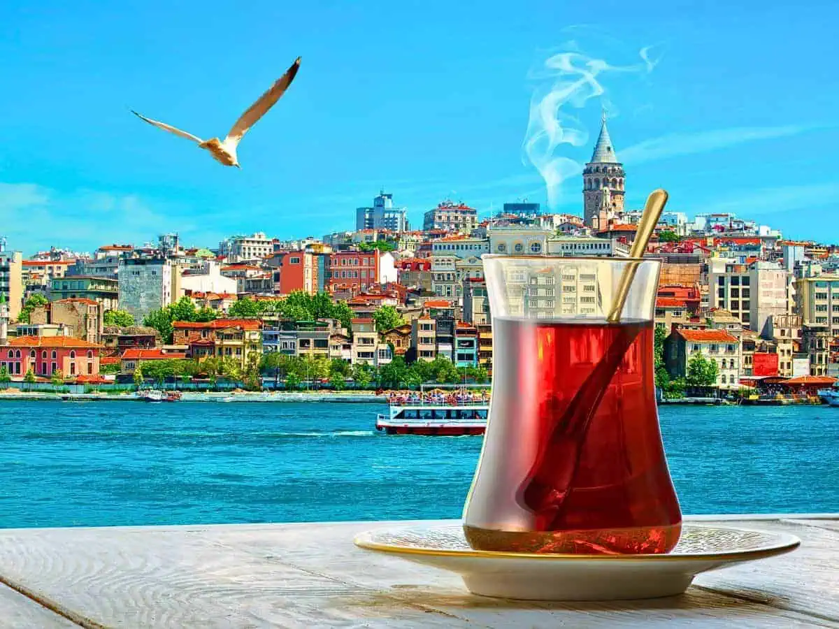 view of galata tower bosphorus turkish tea 2 days in istanbul itinerary