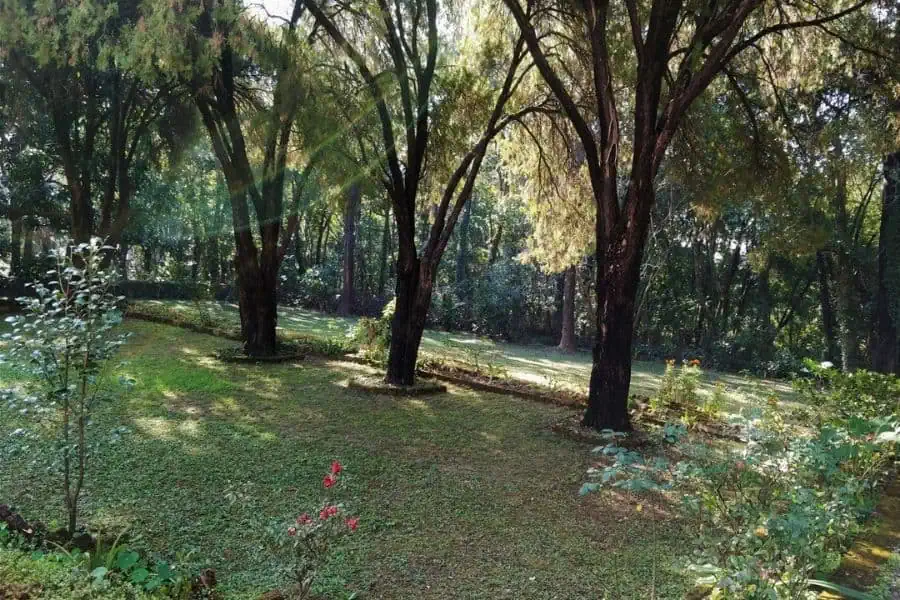 garden jyoti niwas homestay palampur