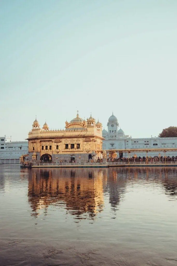 golden temple shimmering in golden hues, reflected beautifully in the sacred waters of amritsar, punjab, india