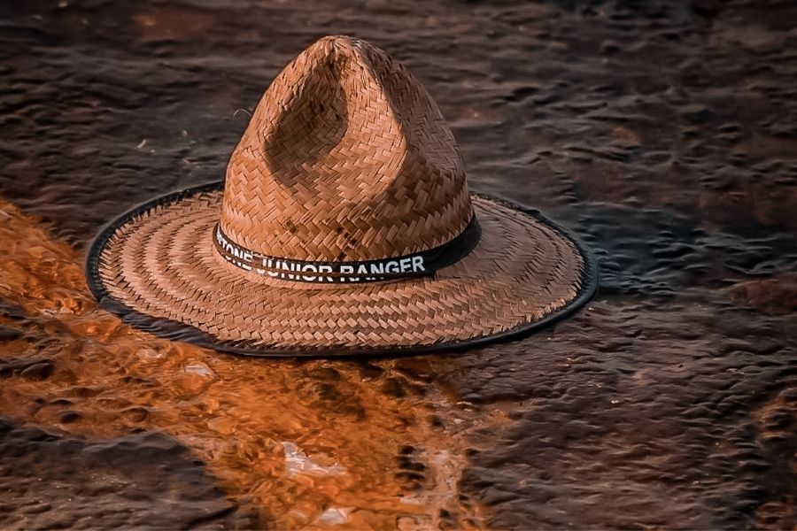 grand canyon junior ranger program
