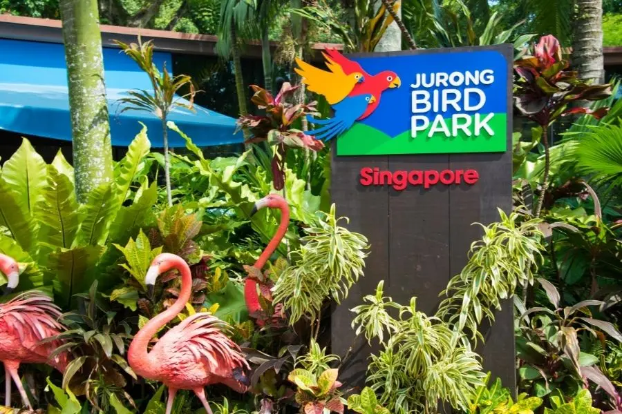jurong bird park singapore itinerary 5 days