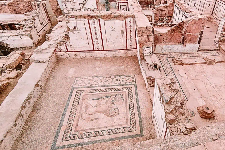 lion mosaic terrace houses ephesus
