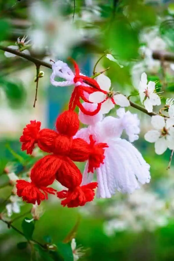 martisor red & white martenitsa hanging on the branches of tree blooming in spring