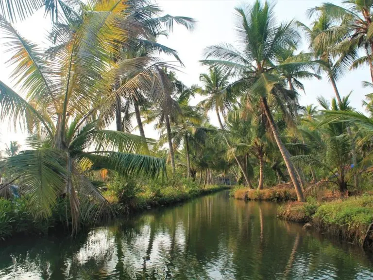 Munroe island
