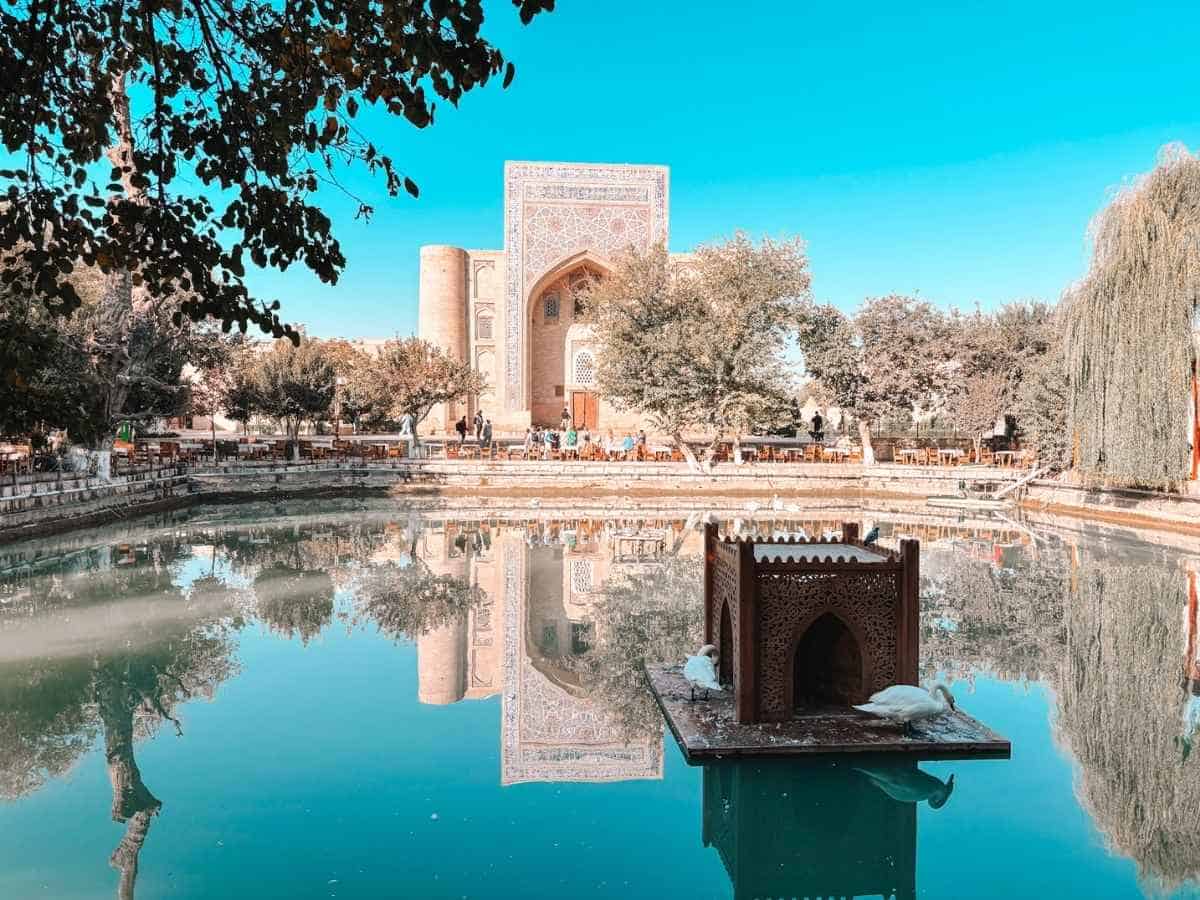 calm morning view of nadir divan-begi madrassa reflected in the lyabi-hauz pond with trees framing the scene and two white ducks resting beside a small wooden pavilion in the water