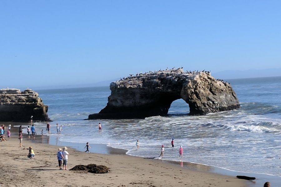 natural bridges state beach santa cruz california