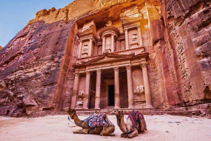 camels sitting in front of al khazneh the treasury in petra jordan 