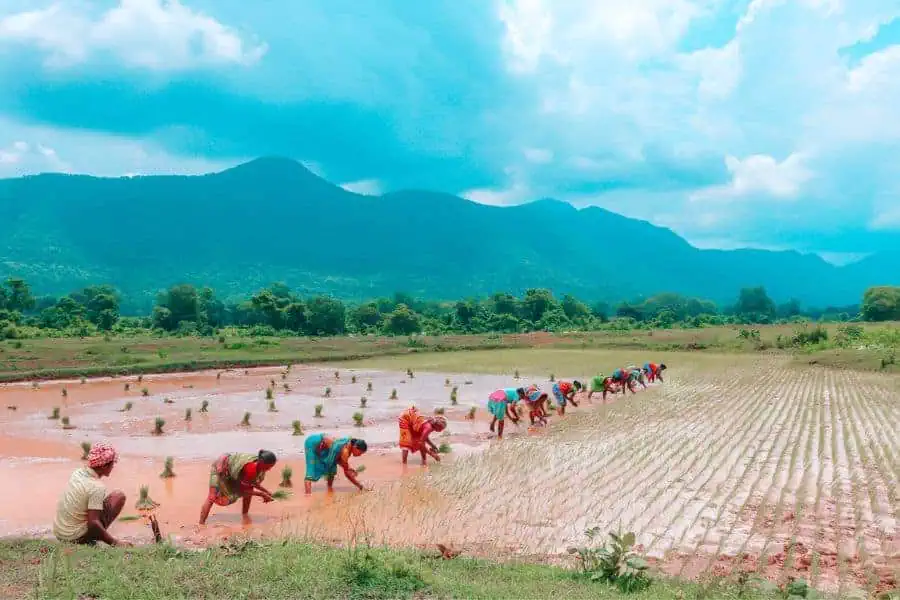rural tourism india
