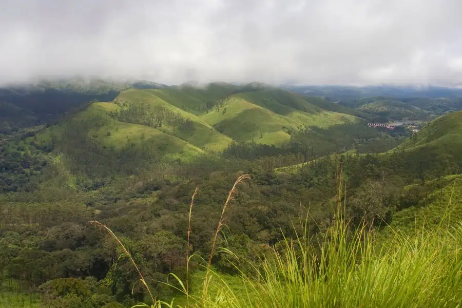 sanctuary wildlife periyar tiger reserve