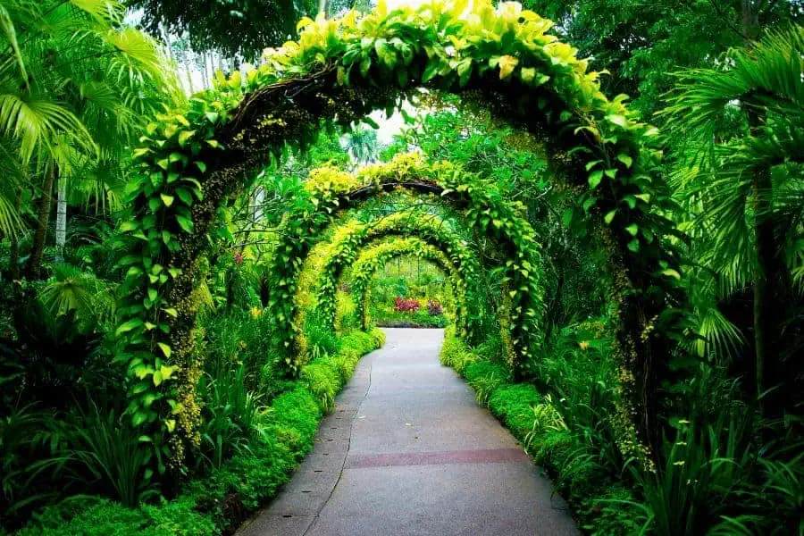 singapore botanic gardens