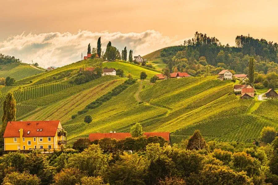 south styria vineyards landscape