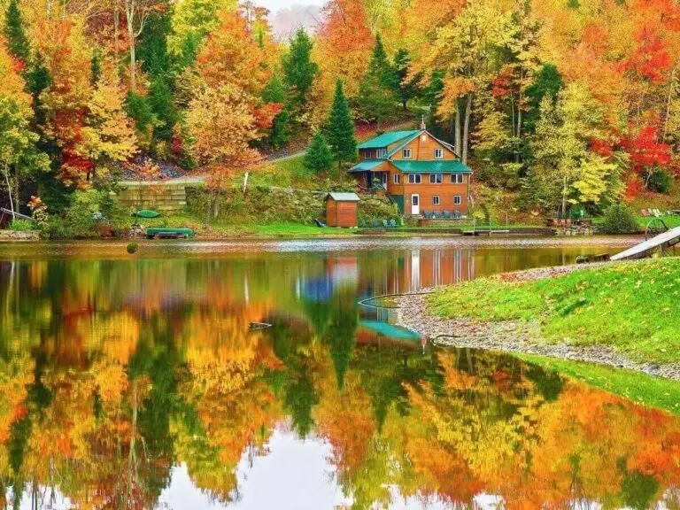 stowe fall weekends usa