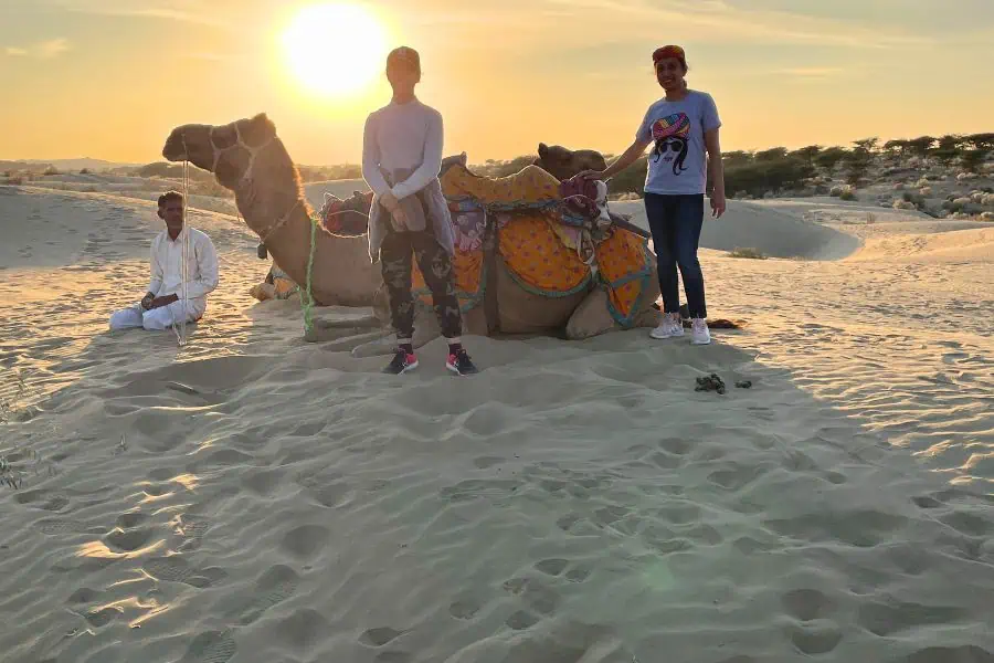 thar desert safari camel