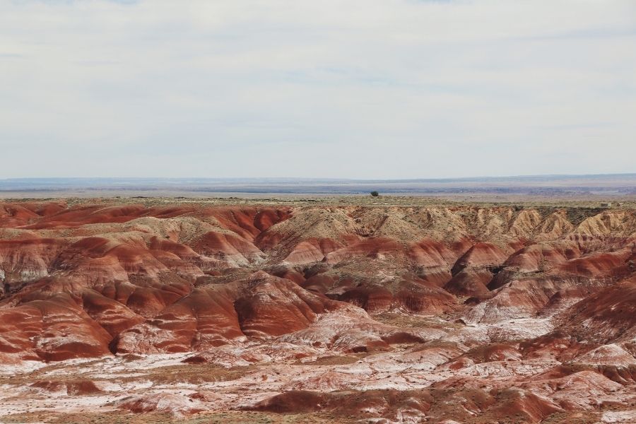 the painted desert petrified forest national park places to visit in arizona