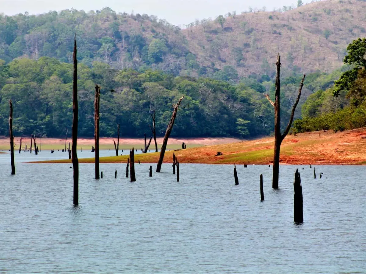 periyar lake thekkady