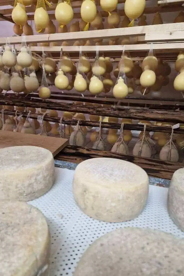 traditional cheese making masseria fragnite ceglie messapica ostuni puglia italy