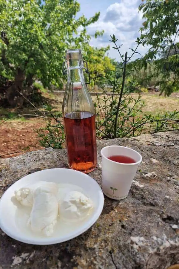 traditional mozzarella cheese tasting with rose wine masseria fragnite ostuni puglia italy