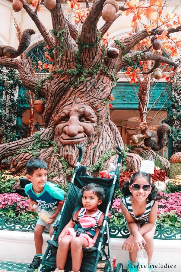 bellagio conservatory and botanical gardens
