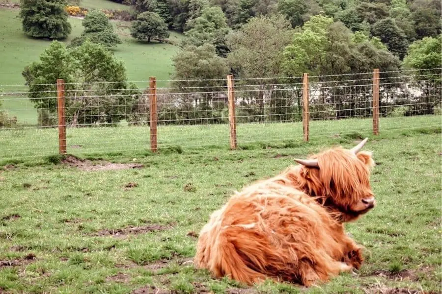 callander scotland uk hidden europe destinations