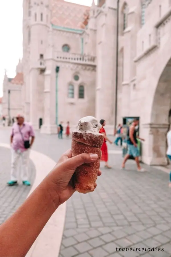 chiomney cake with ice-cream budapest hungary
